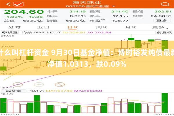 什么叫杠杆资金 9月30日基金净值：博时裕发纯债最新净值1.0313，跌0.09%