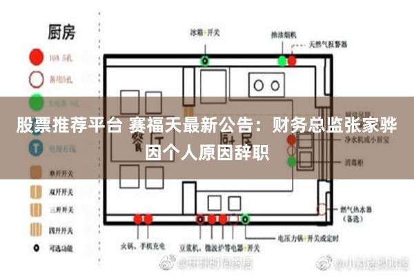 股票推荐平台 赛福天最新公告：财务总监张家骅因个人原因辞职