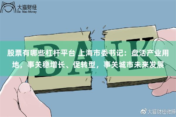 股票有哪些杠杆平台 上海市委书记：盘活产业用地，事关稳增长、促转型，事关城市未来发展