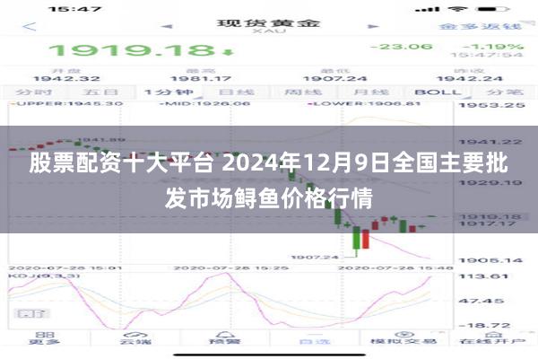 股票配资十大平台 2024年12月9日全国主要批发市场鲟鱼价格行情